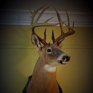 Meet your Posher, Andy